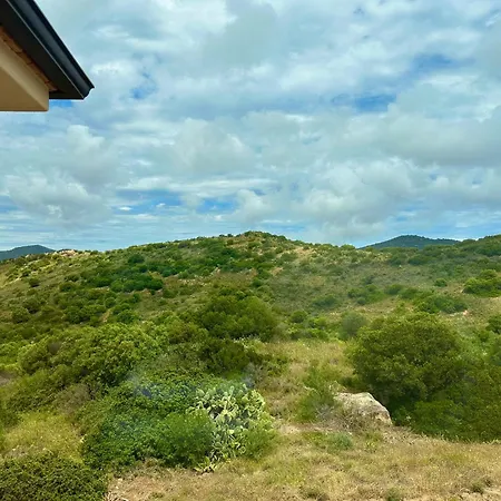 Con Vista